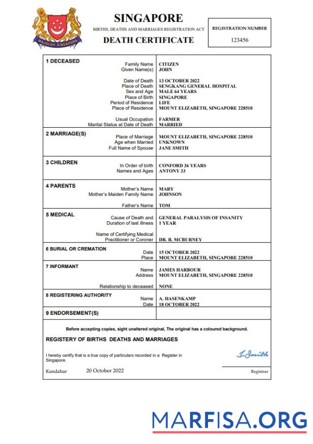 Blank Singapore vital record death certificate Word and PDF template